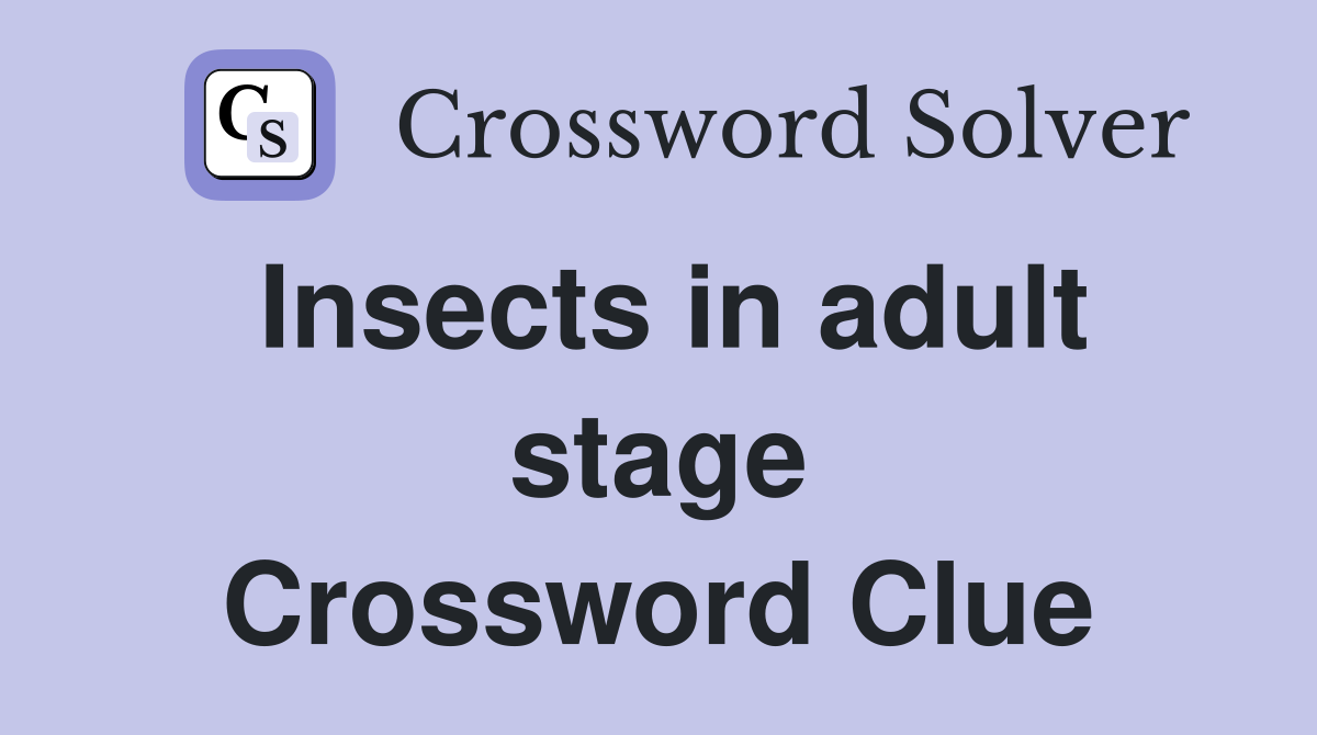 Insects in adult stage Crossword Clue