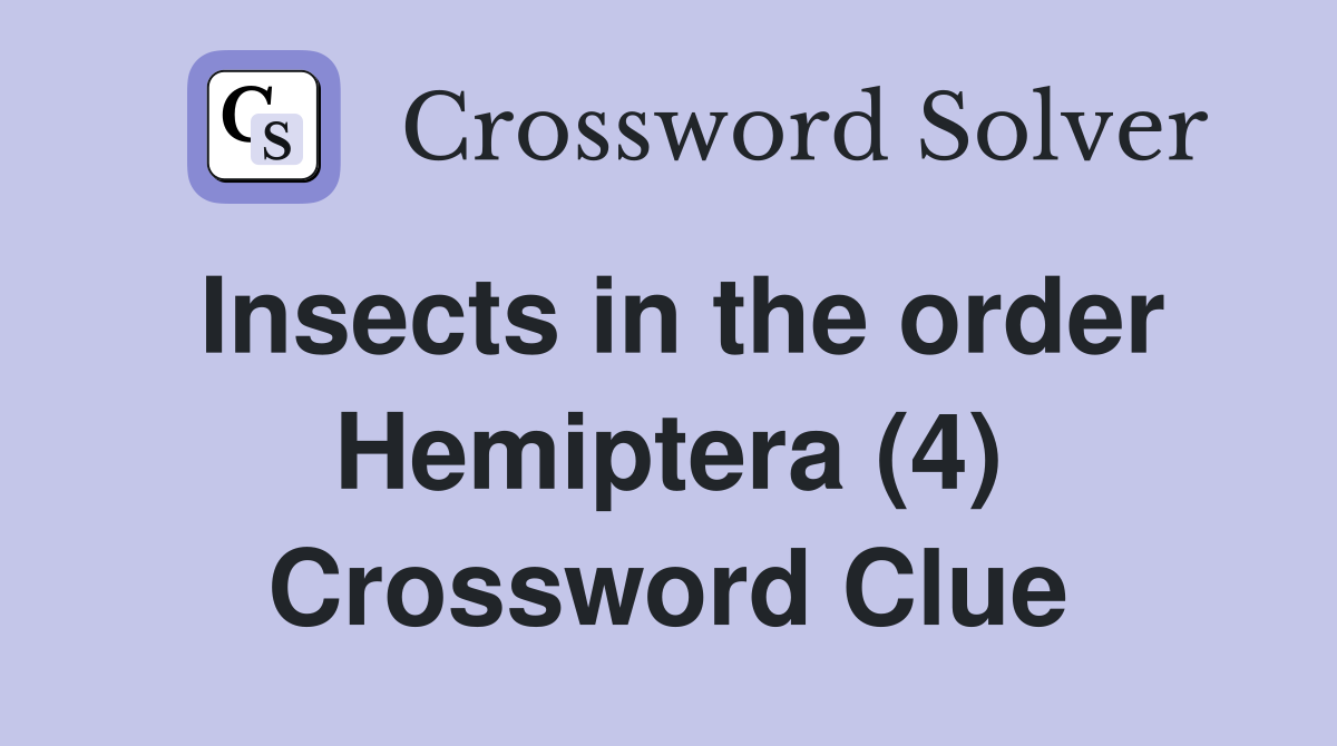Insects in the order Hemiptera (4) Crossword Clue