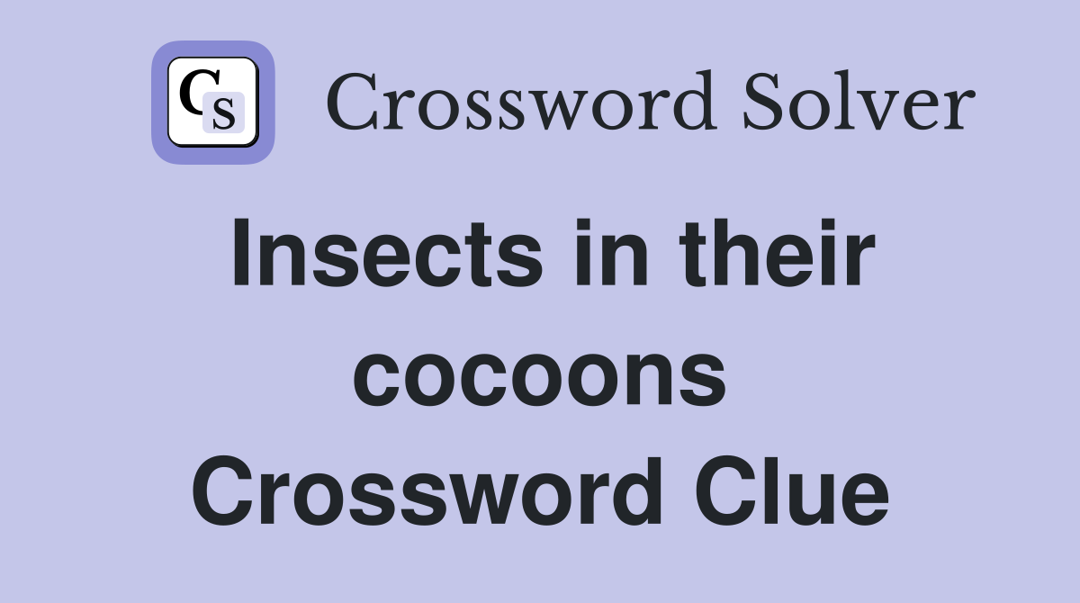 Insects in their cocoons Crossword Clue