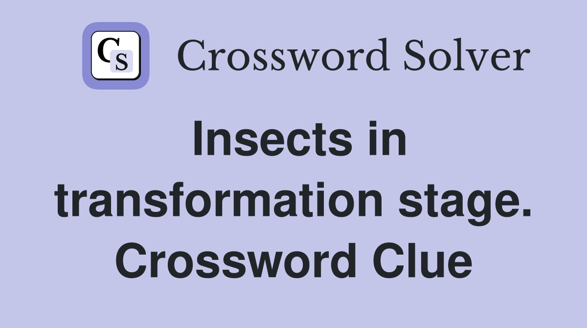 Insects in transformation stage. Crossword Clue