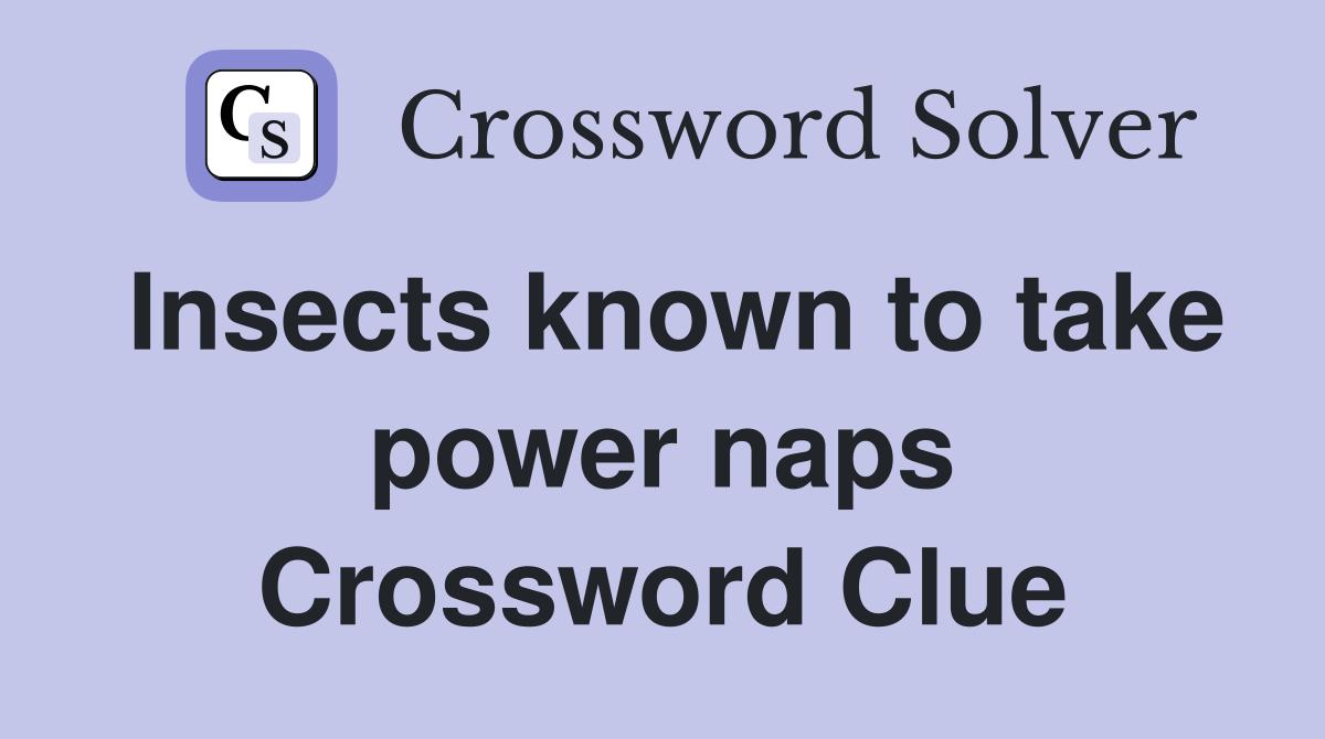 Insects known to take power naps Crossword Clue