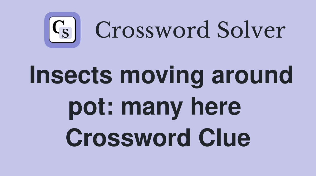 Insects moving around pot: many here  Crossword Clue