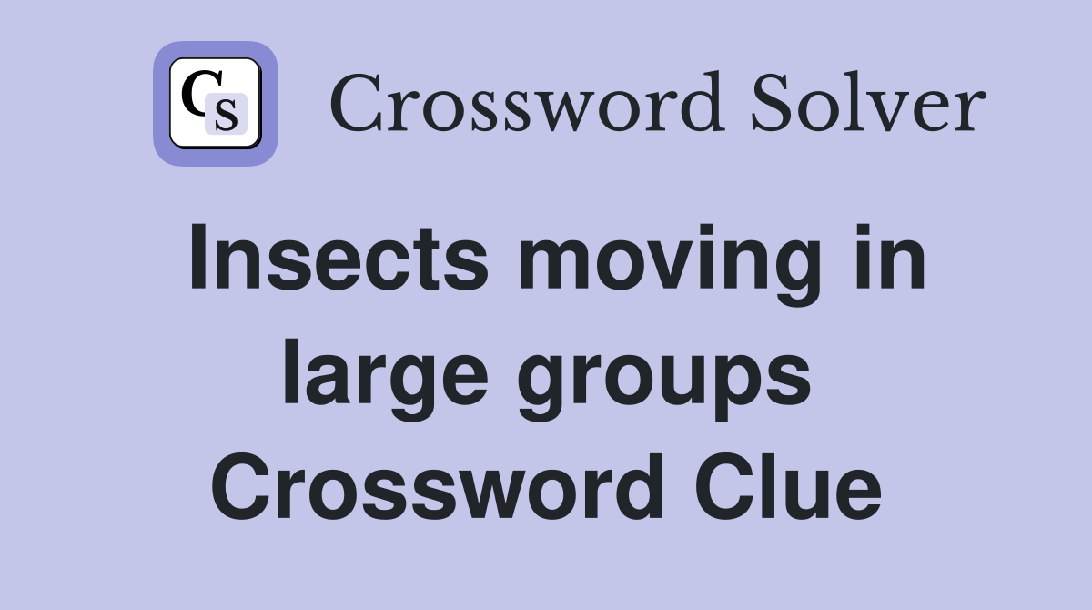 Insects moving in large groups Crossword Clue