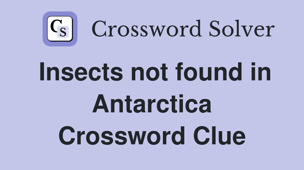 Insects not found in Antarctica Crossword Clue