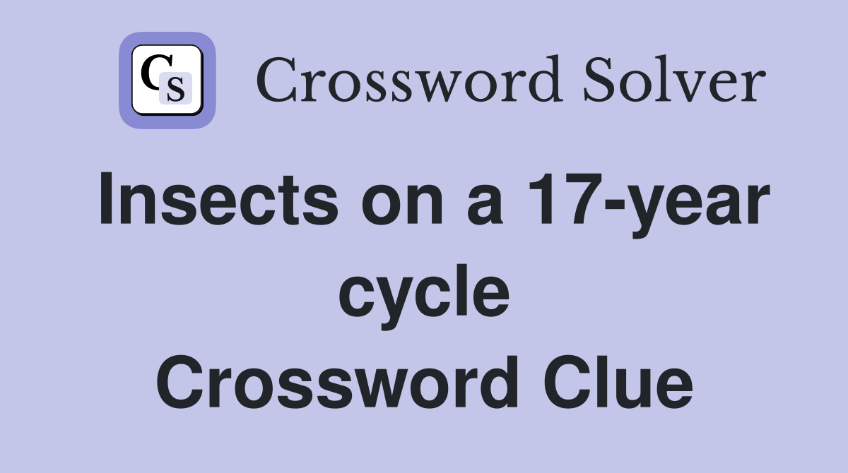 Insects on a 17-year cycle Crossword Clue