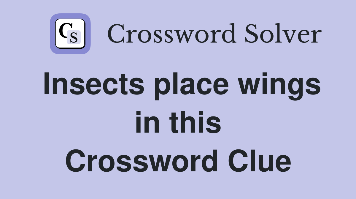 Insects place wings in this Crossword Clue