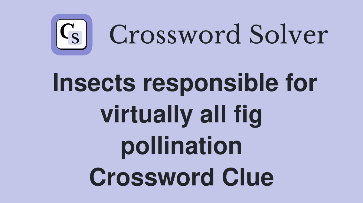Insects responsible for virtually all fig pollination Crossword Clue