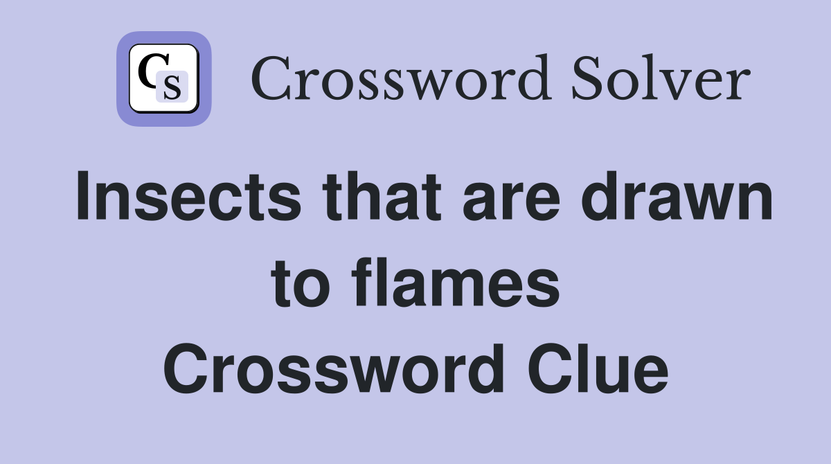 Insects that are drawn to flames Crossword Clue