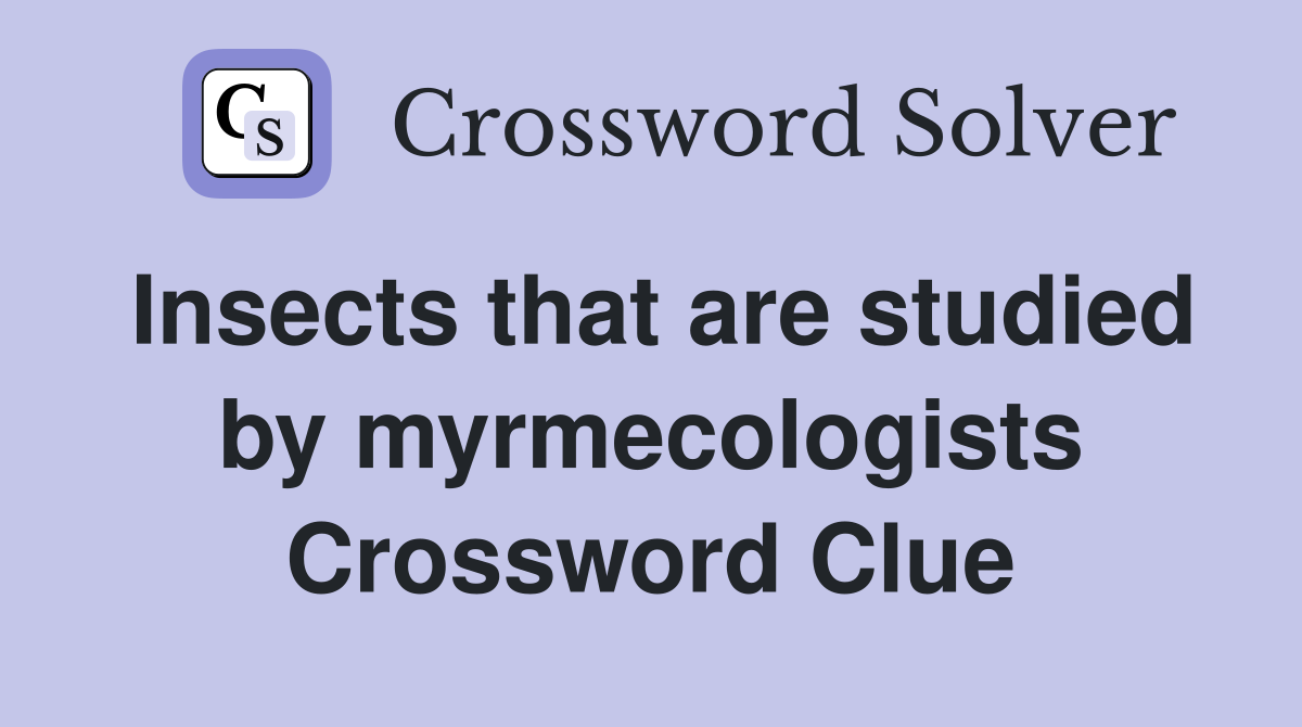Insects that are studied by myrmecologists Crossword Clue