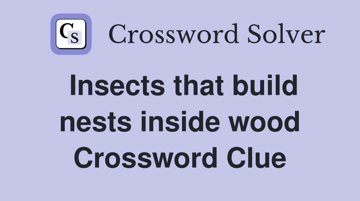 Insects that build nests inside wood Crossword Clue