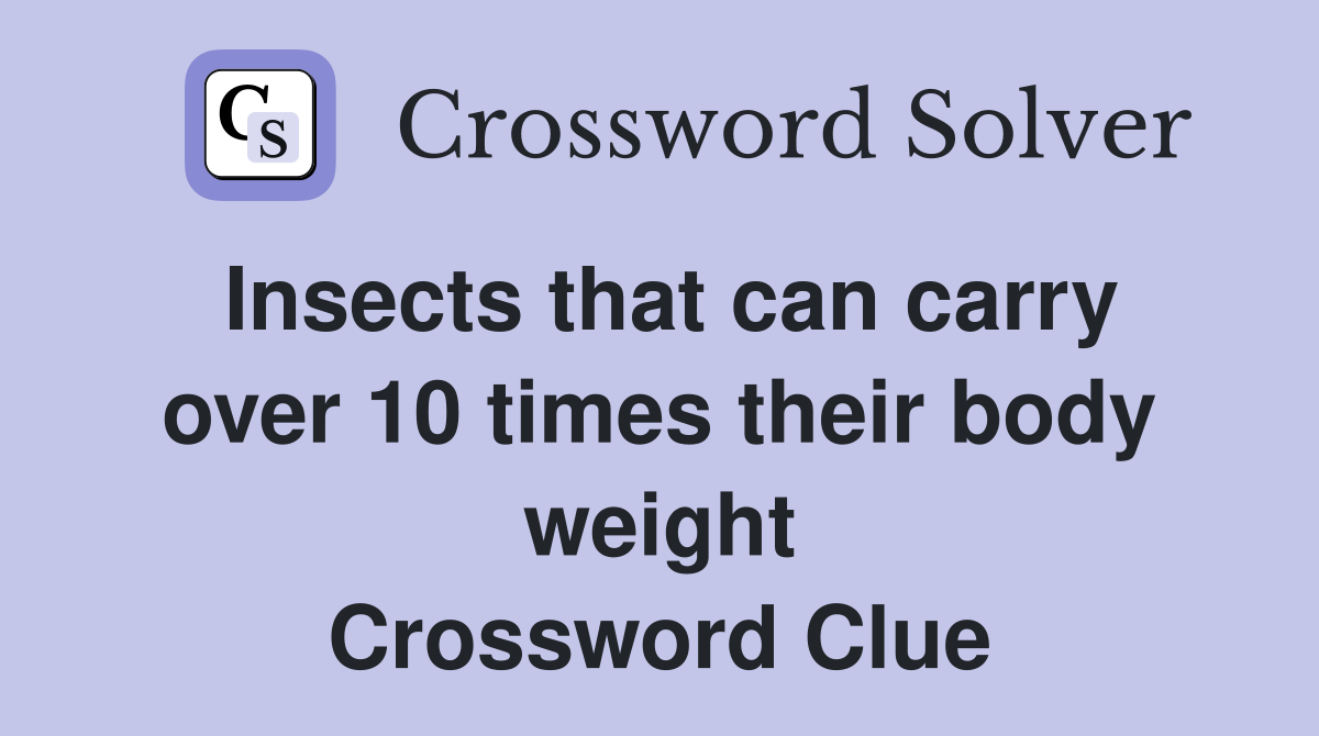 Insects that can carry over 10 times their body weight Crossword Clue