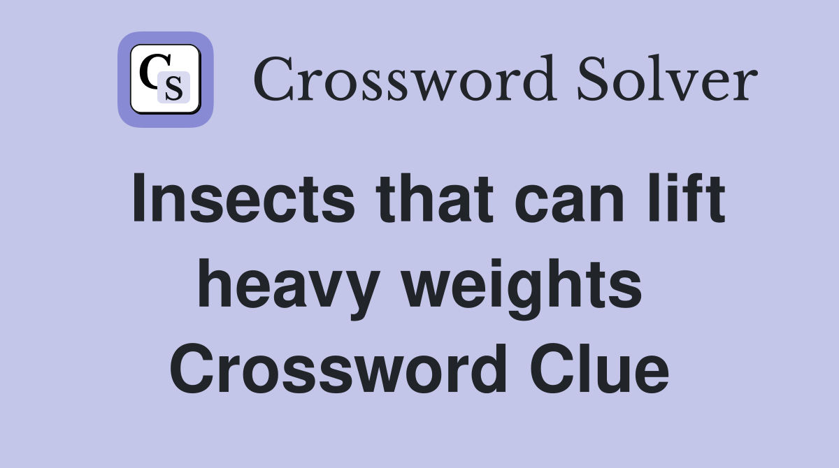 Insects that can lift heavy weights Crossword Clue