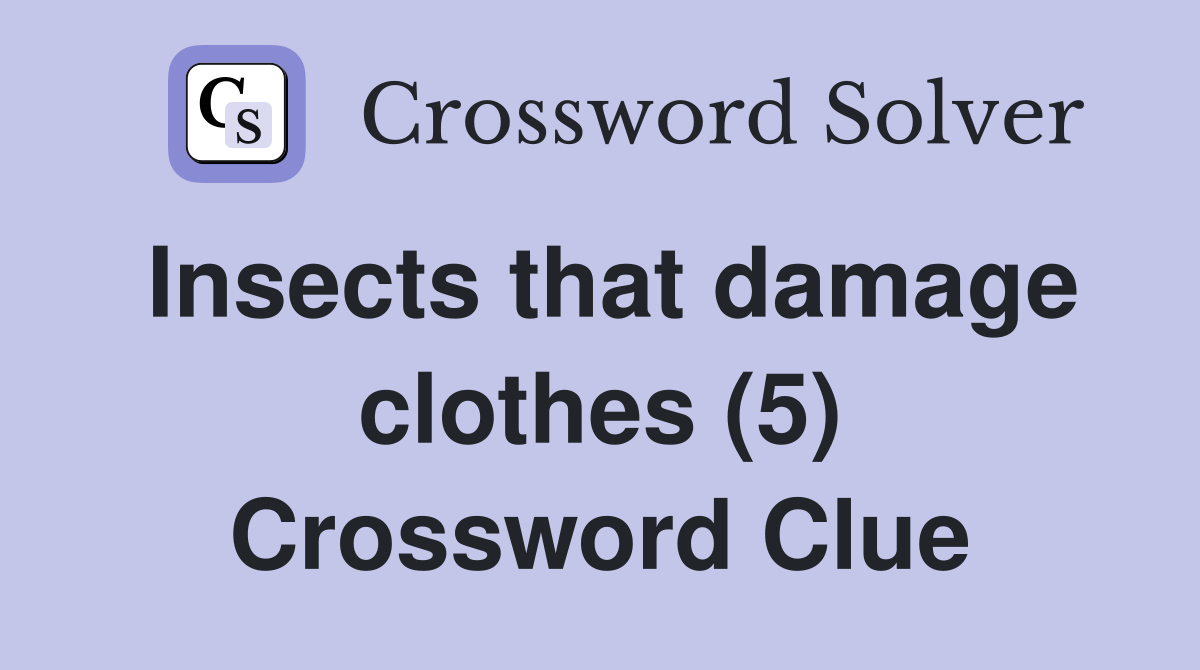 Insects that damage clothes (5) Crossword Clue