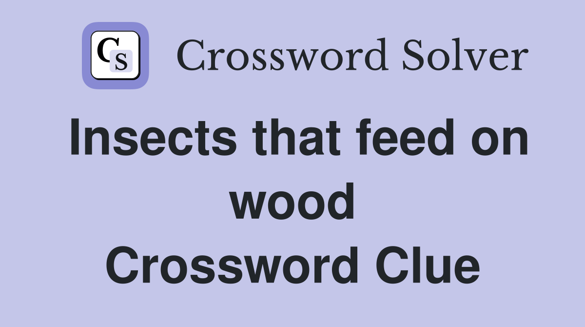 Insects that feed on wood Crossword Clue