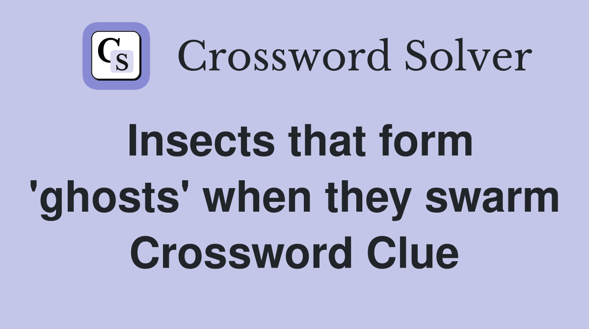 Insects that form 'ghosts' when they swarm Crossword Clue