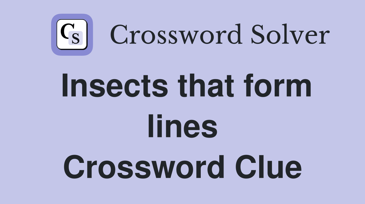 Insects that form lines Crossword Clue