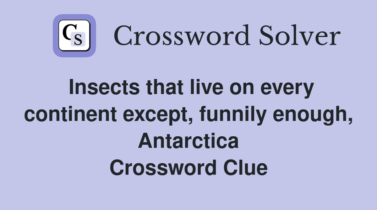Insects that live on every continent except, funnily enough, Antarctica Crossword Clue
