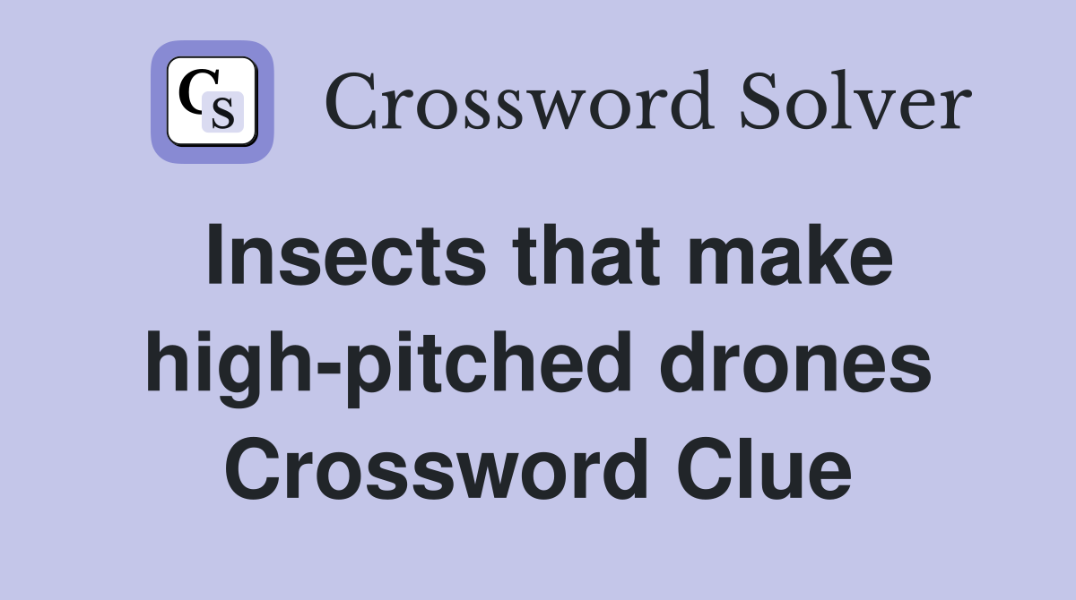 Insects that make high-pitched drones Crossword Clue