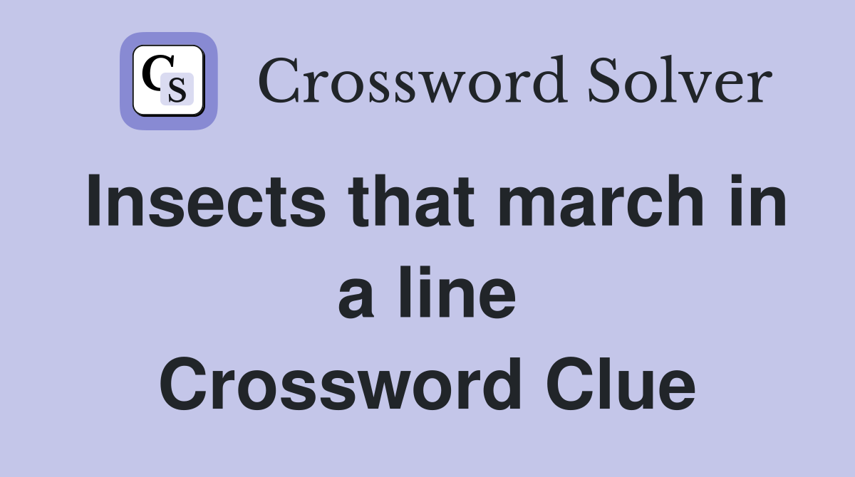 Insects that march in a line Crossword Clue