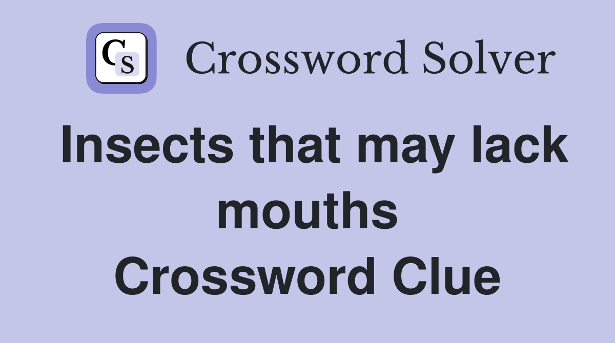 Insects that may lack mouths Crossword Clue