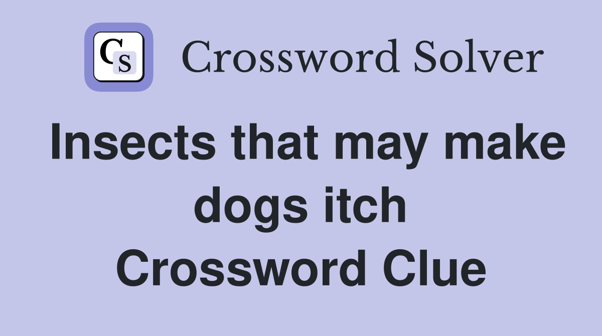 Insects that may make dogs itch Crossword Clue