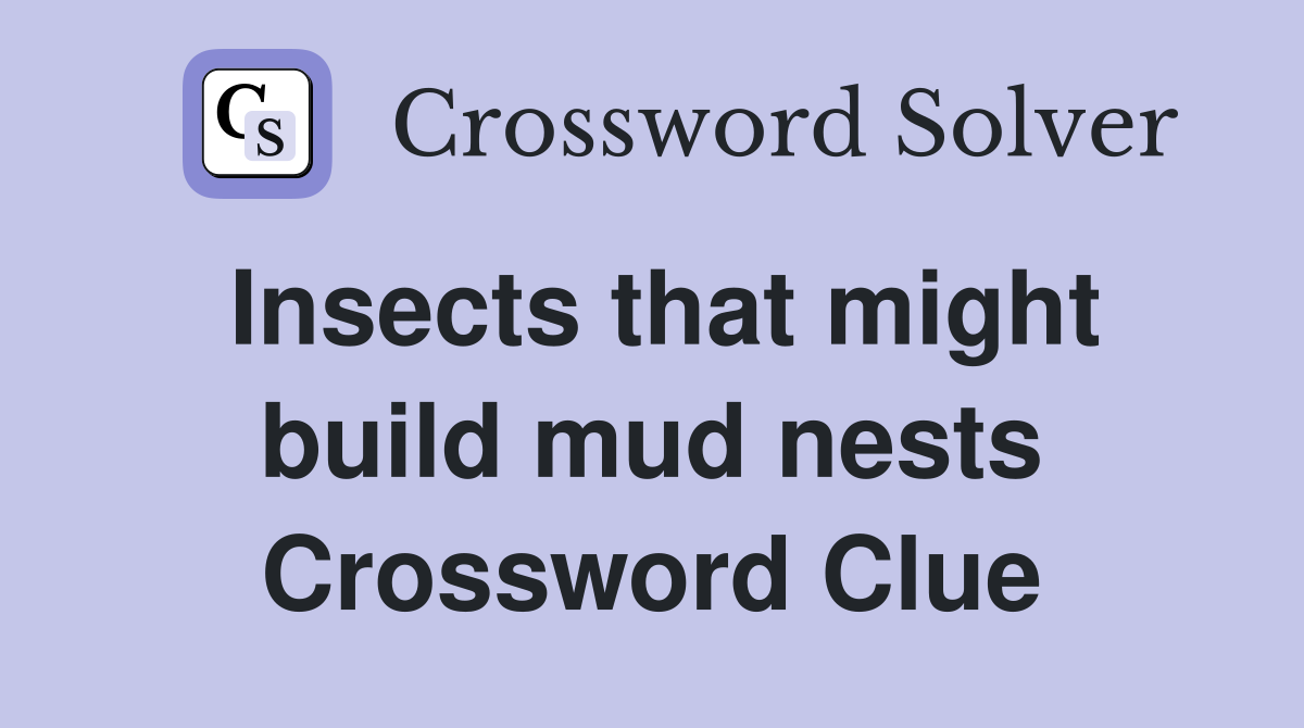 Insects that might build mud nests Crossword Clue
