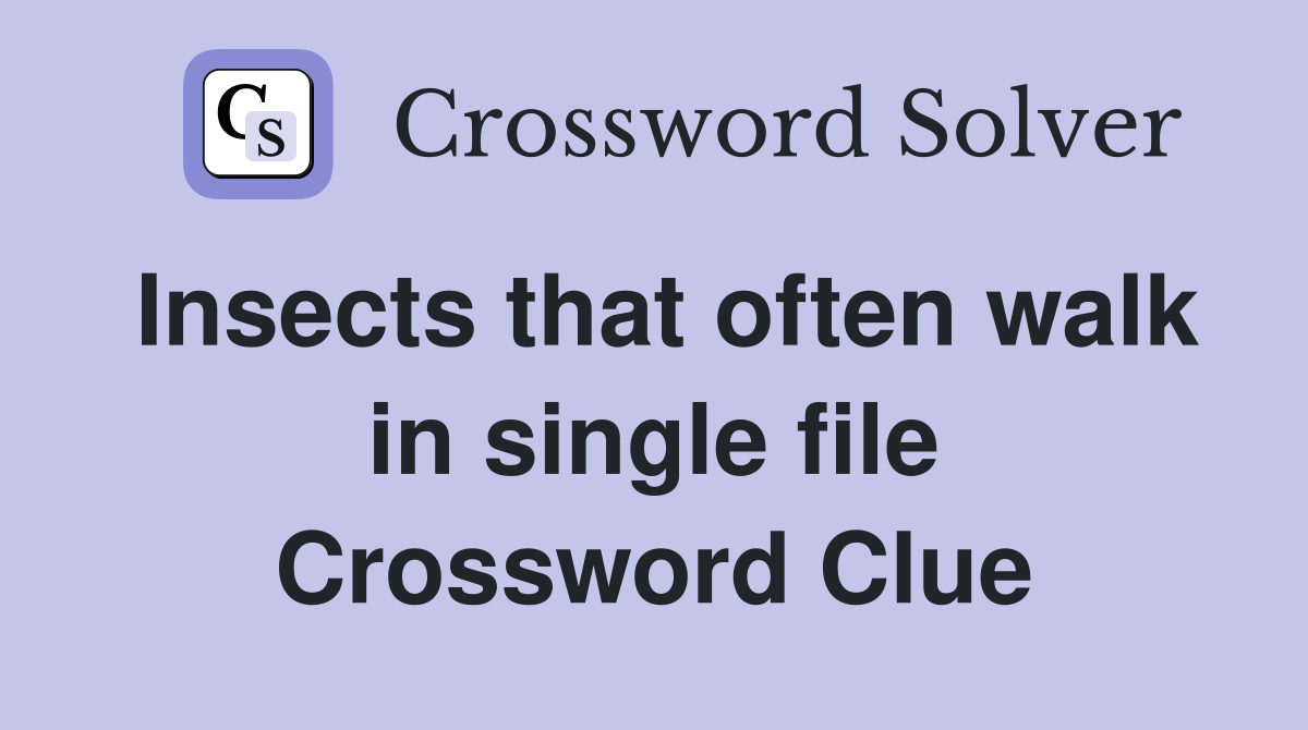 Insects that often walk in single file Crossword Clue