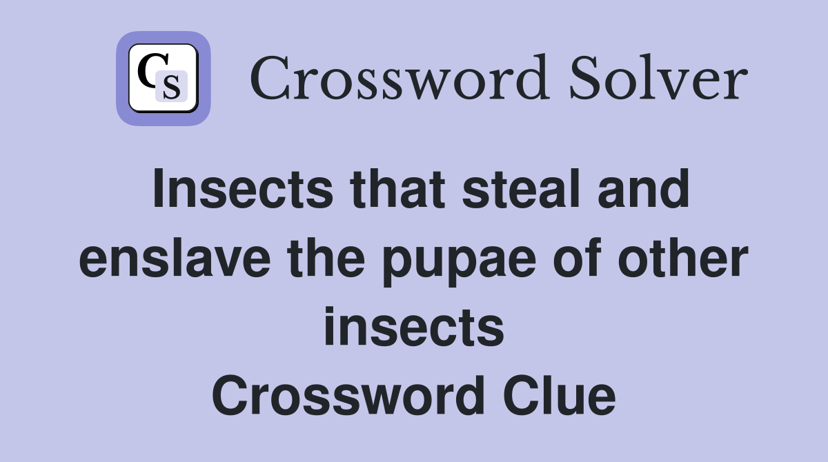 Insects that steal and enslave the pupae of other insects Crossword Clue