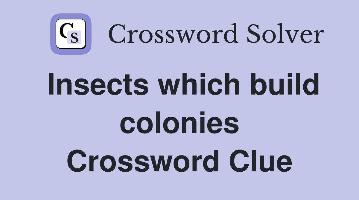 Insects which build colonies Crossword Clue
