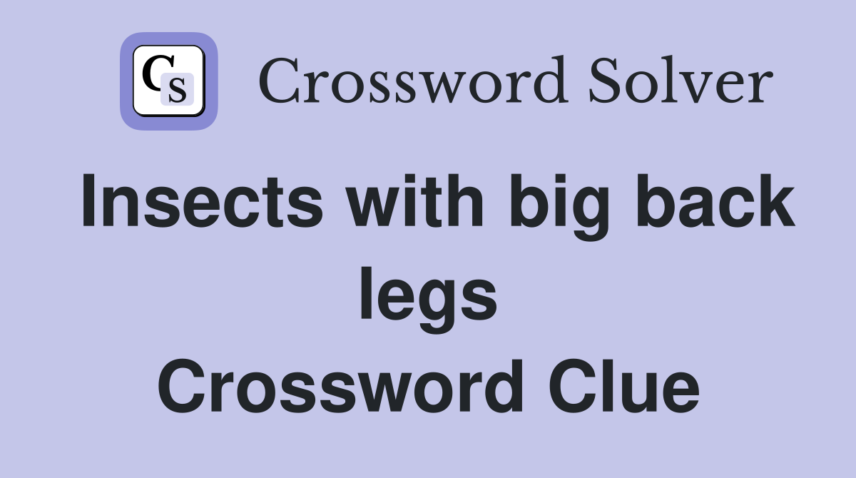Insects with big back legs Crossword Clue