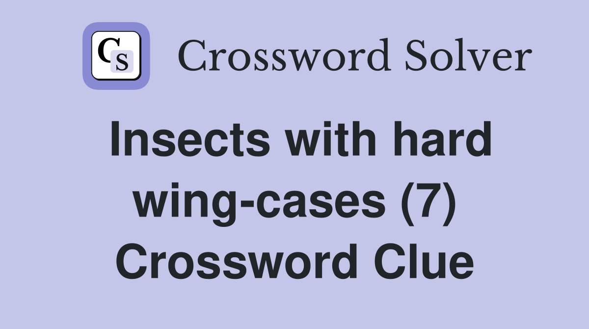 Insects with hard wing-cases (7) Crossword Clue