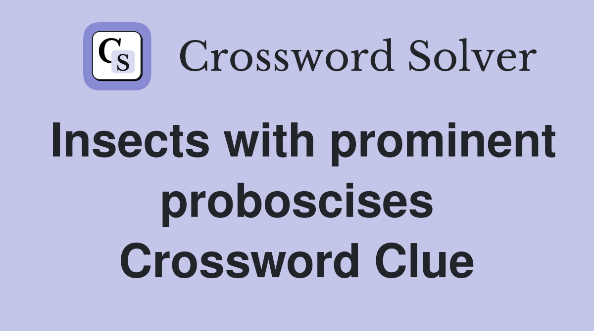 Insects with prominent proboscises Crossword Clue