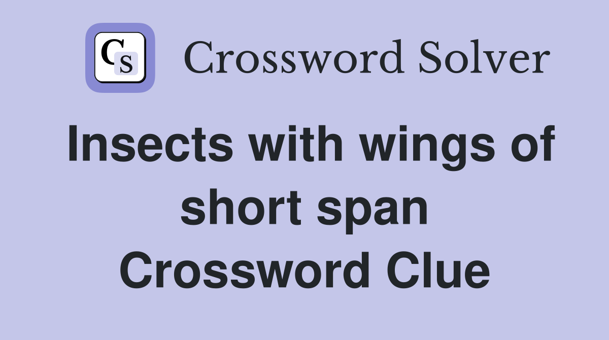 Insects with wings of short span Crossword Clue