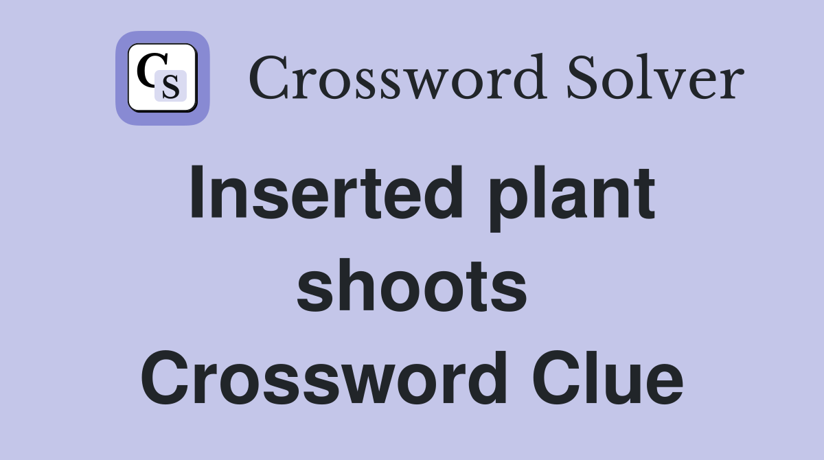 Inserted plant shoots Crossword Clue