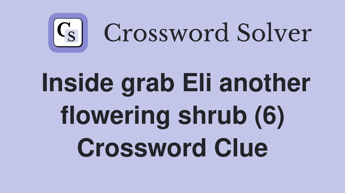 Inside grab Eli another flowering shrub (6) Crossword Clue