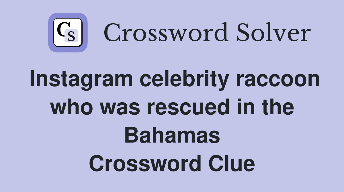 Instagram celebrity raccoon who was rescued in the Bahamas Crossword Clue