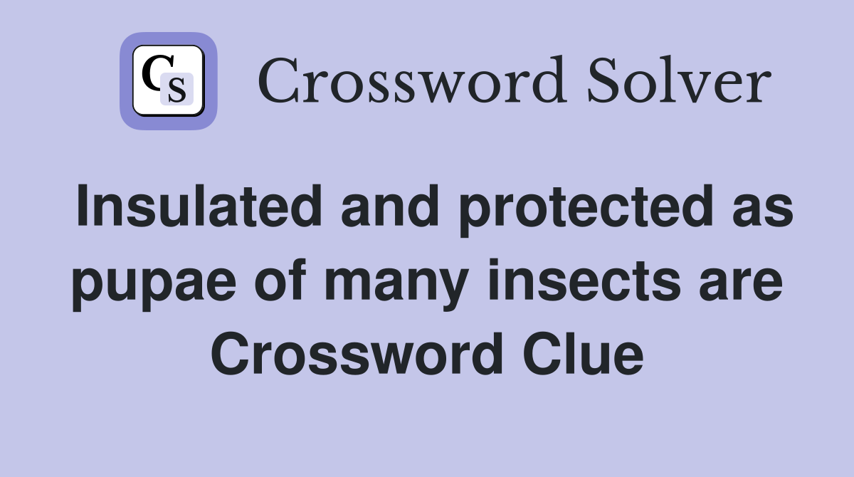 Insulated and protected as pupae of many insects are Crossword Clue