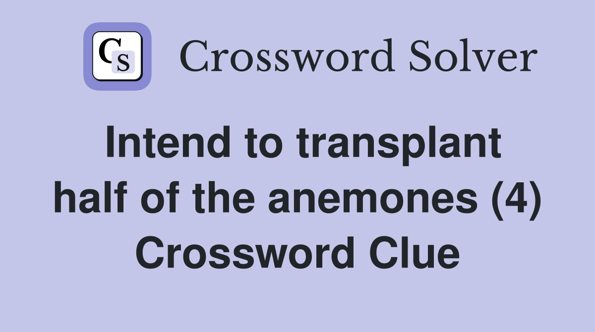 Intend to transplant half of the anemones (4) Crossword Clue