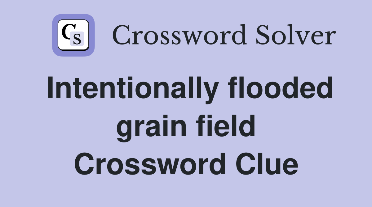 Intentionally flooded grain field Crossword Clue