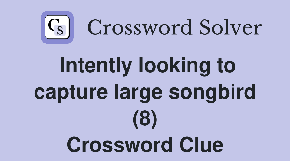 Intently looking to capture large songbird (8) Crossword Clue