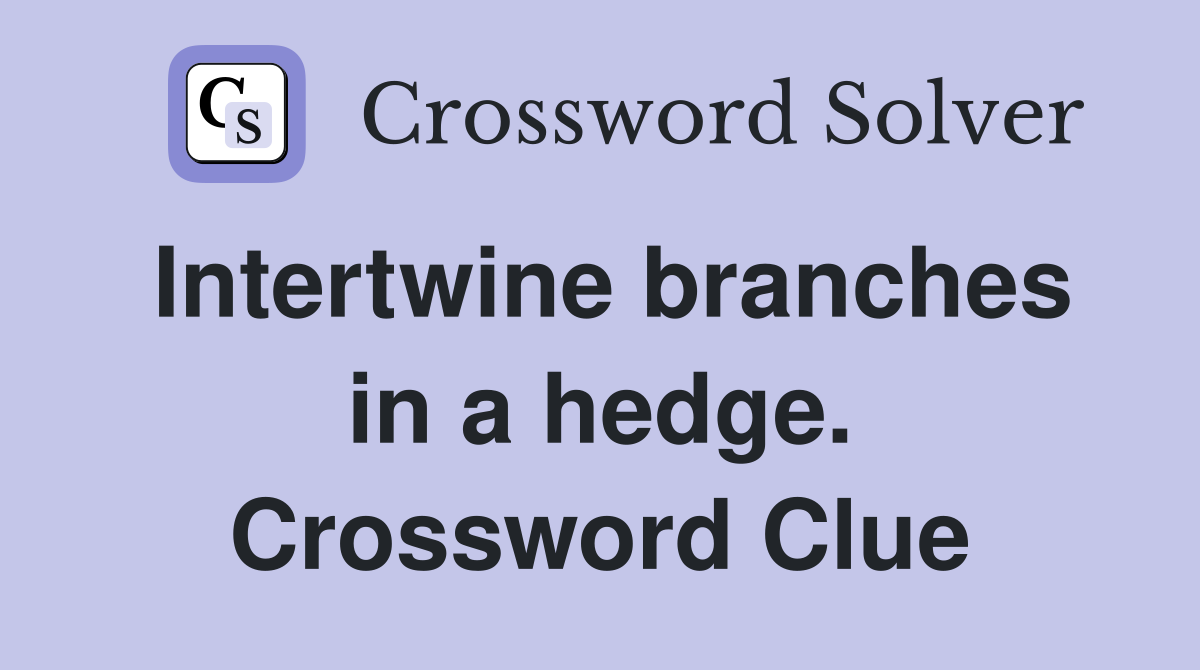 Intertwine branches in a hedge. Crossword Clue