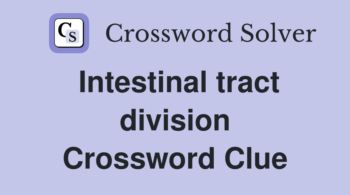 Intestinal tract division Crossword Clue