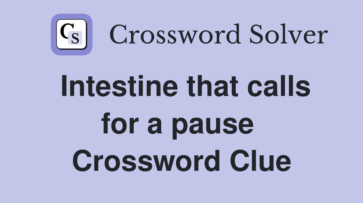 Intestine that calls for a pause  Crossword Clue