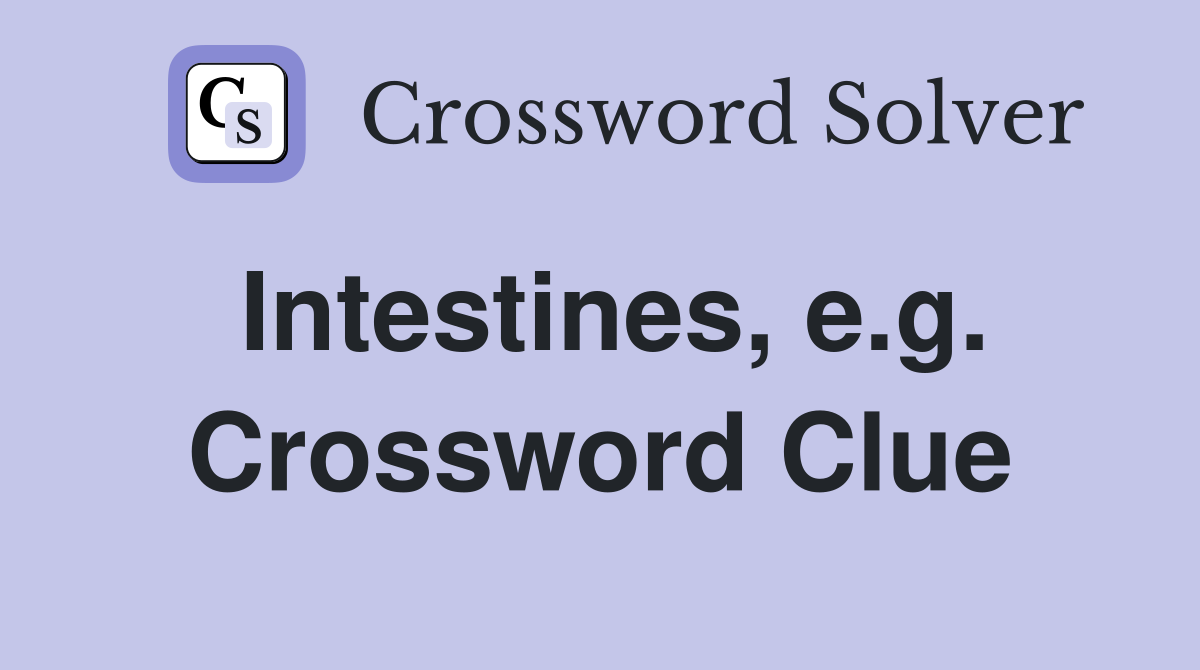 Intestines, e.g. Crossword Clue
