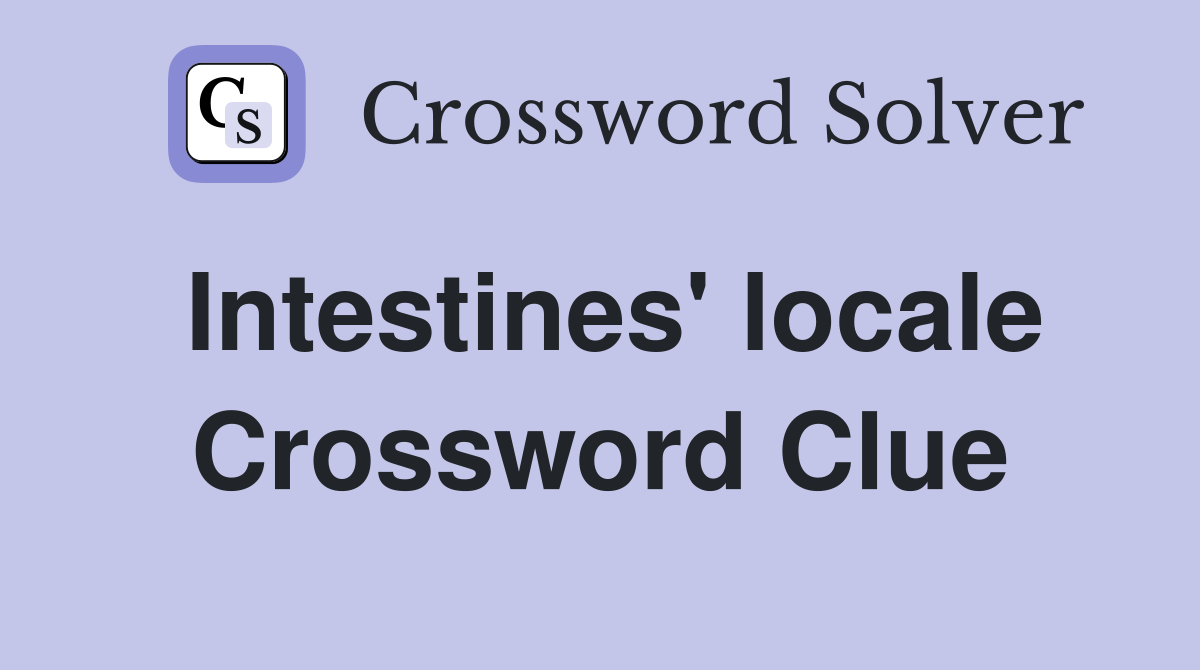 Intestines' locale Crossword Clue