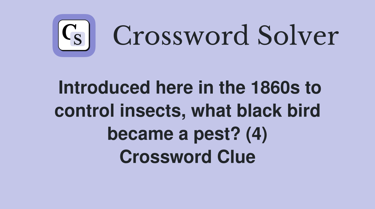 Introduced here in the 1860s to control insects, what black bird became a pest? (4) Crossword Clue