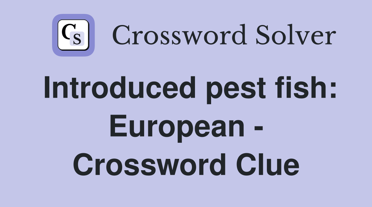 Introduced pest fish: European - Crossword Clue