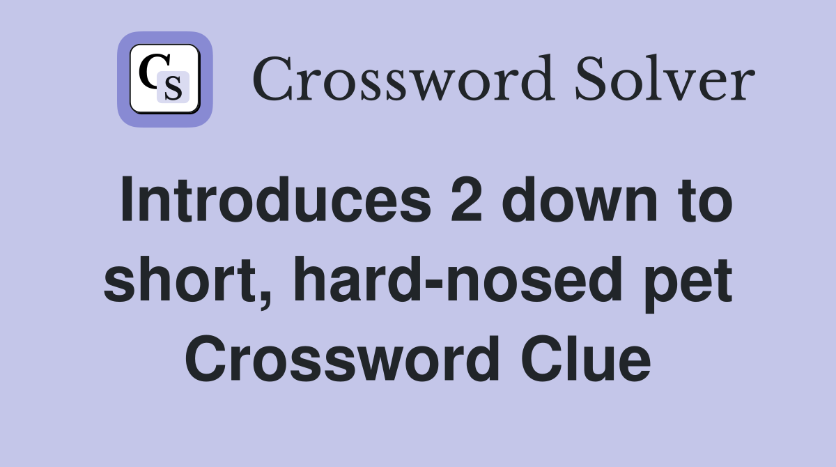 Introduces 2 down to short, hard-nosed pet Crossword Clue
