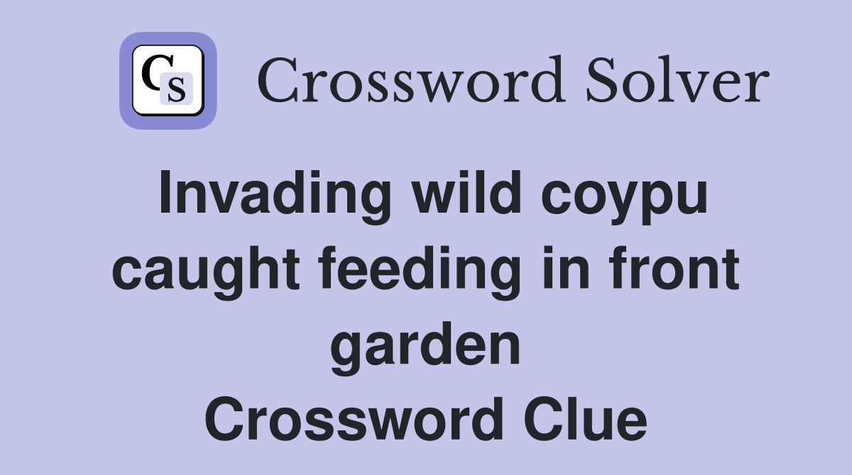 Invading wild coypu caught feeding in front garden Crossword Clue
