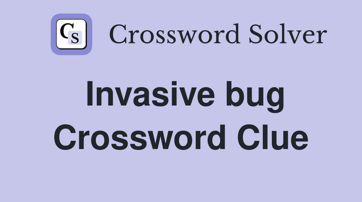 Invasive bug Crossword Clue